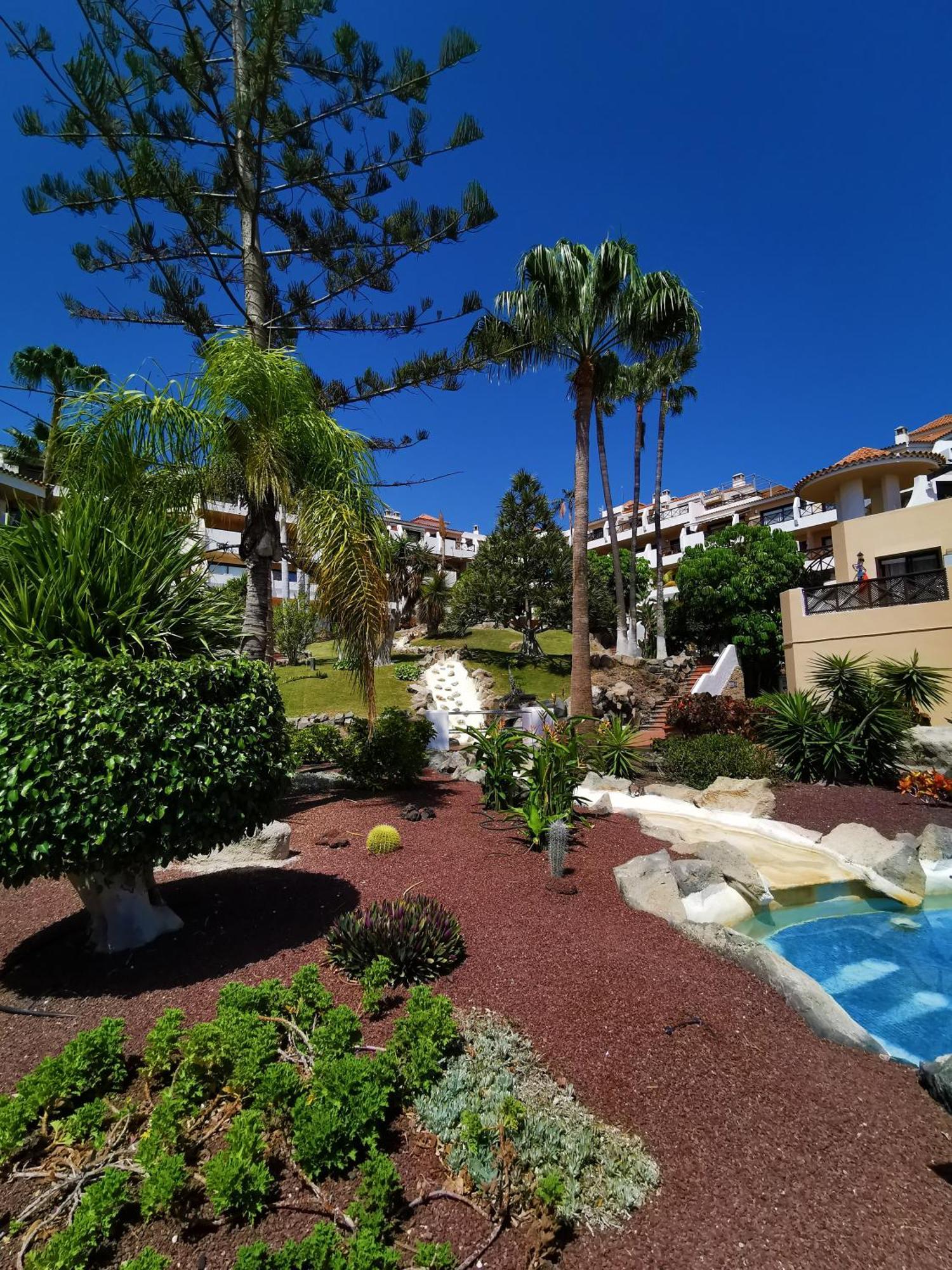סן מיגל דה אבונה Strelitzia Apartment - Ocean View & Heated Pool מראה חיצוני תמונה